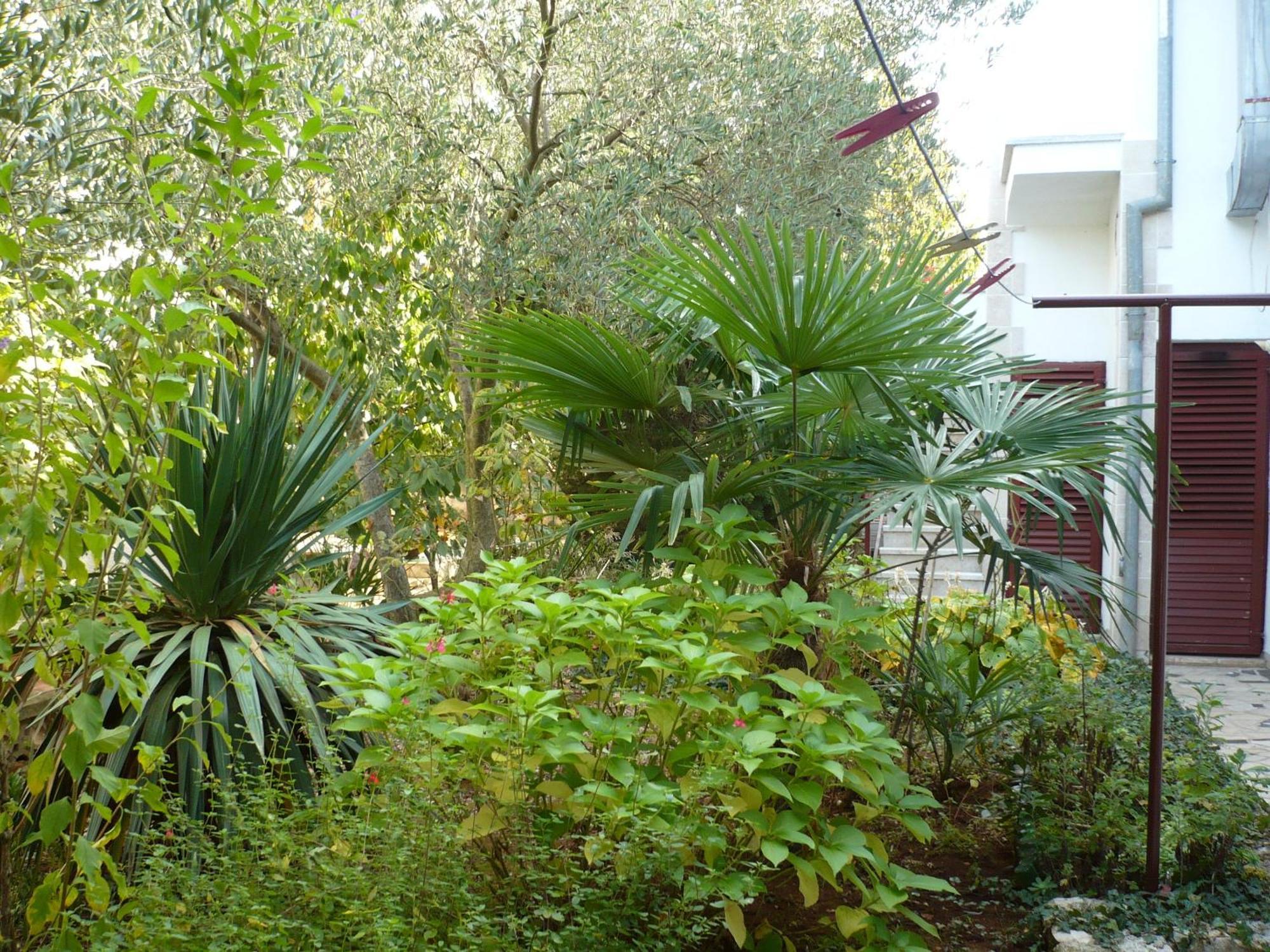 Apartments Finida Porec Exterior photo